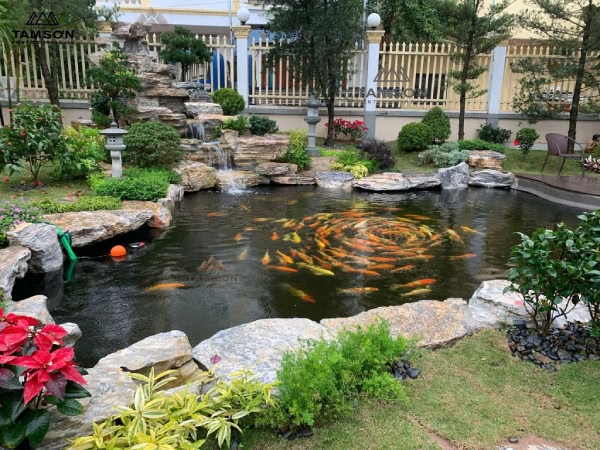 Thác nước kết hợp hồ Koi