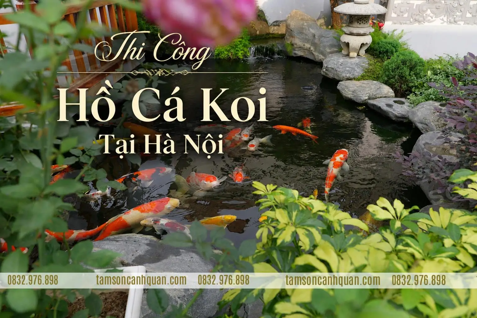 Thi Công Hồ Cá Koi Tại Hà Nội Ở Đâu Uy Tín?