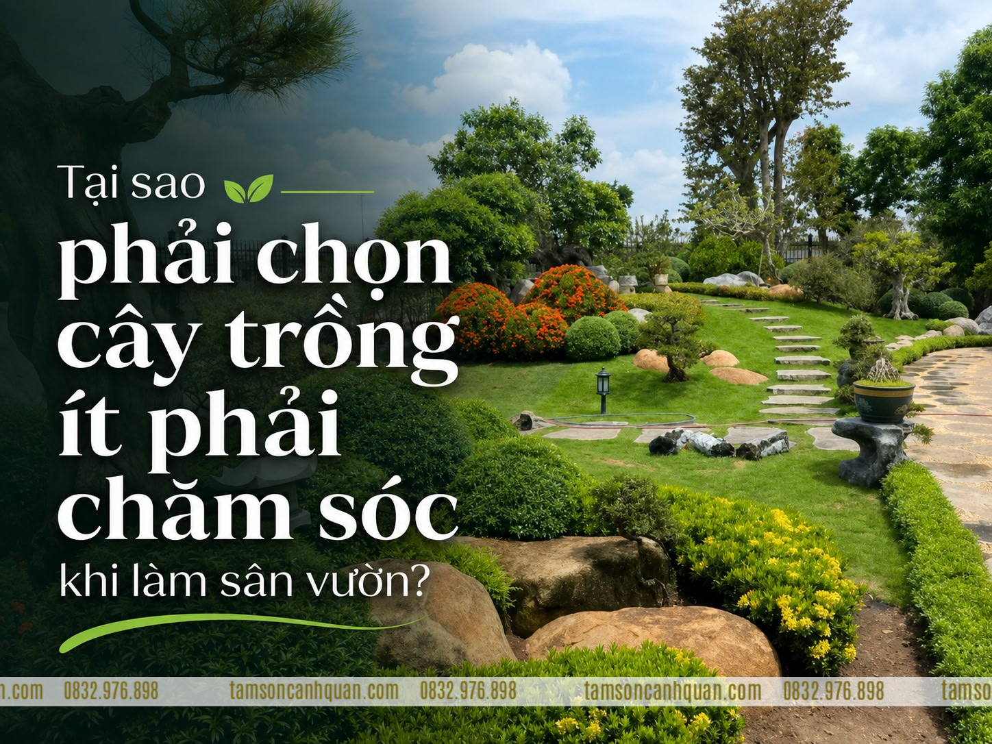 Cây Ít Phải Chăm Sóc Được Hiểu Như Thế Nào?