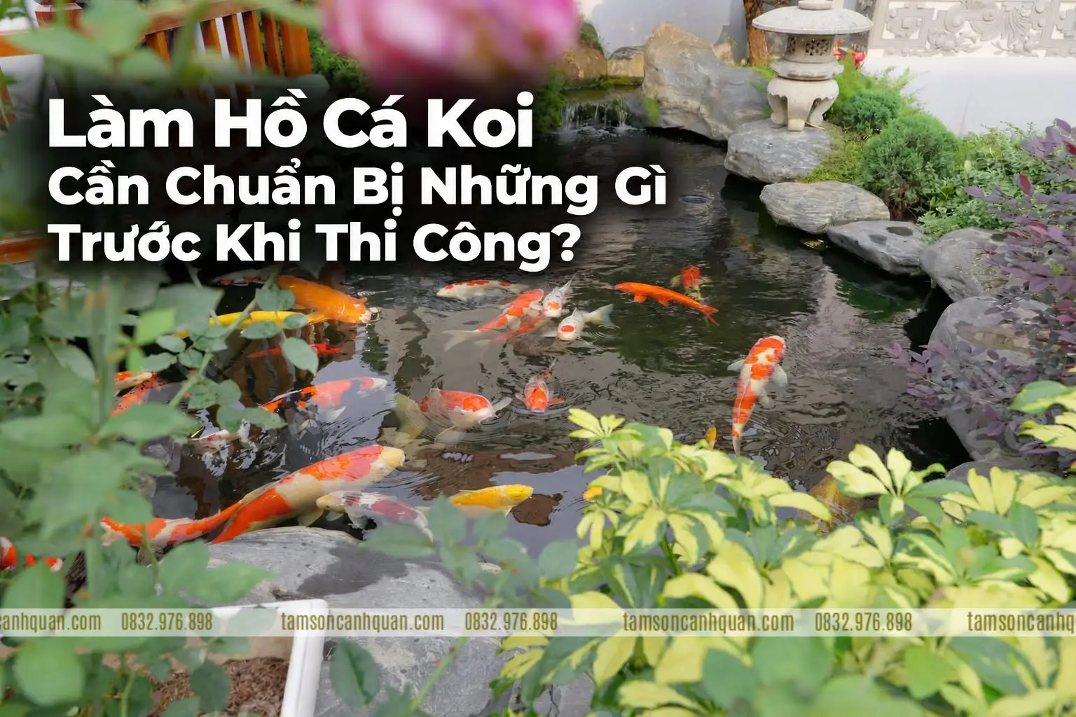 Làm Hồ Cá Koi Cần Chuẩn Bị Những Gì Trước Khi Thi Công?
