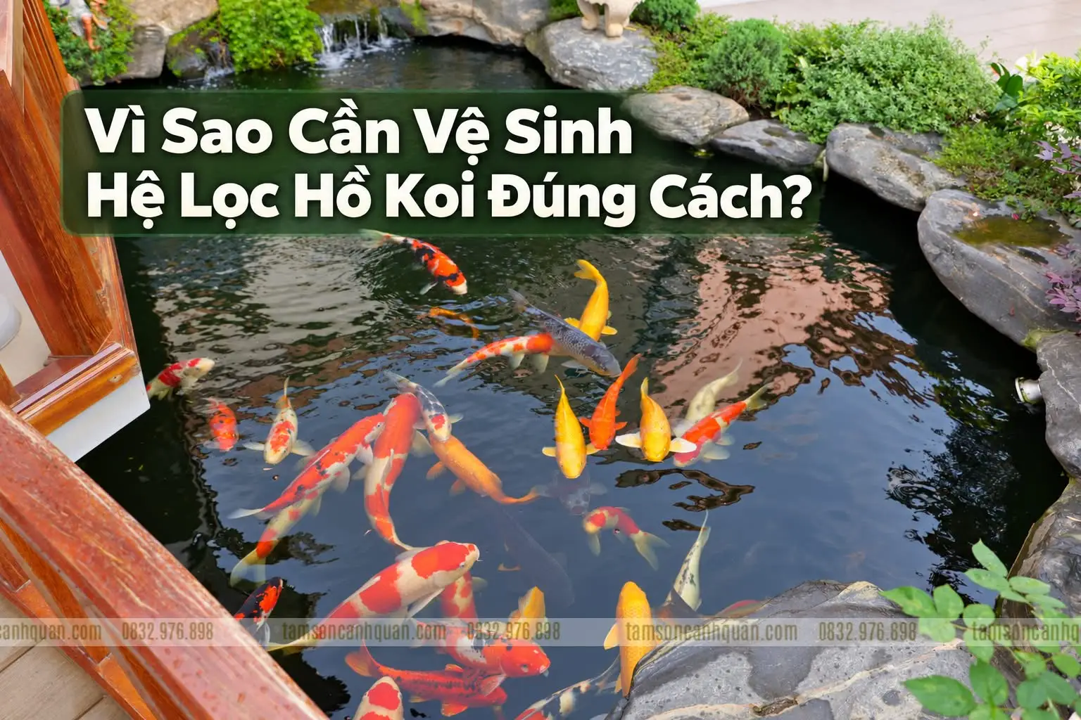 Vì Sao Cần Vệ Sinh Hệ Lọc Hồ Koi Đúng Cách?