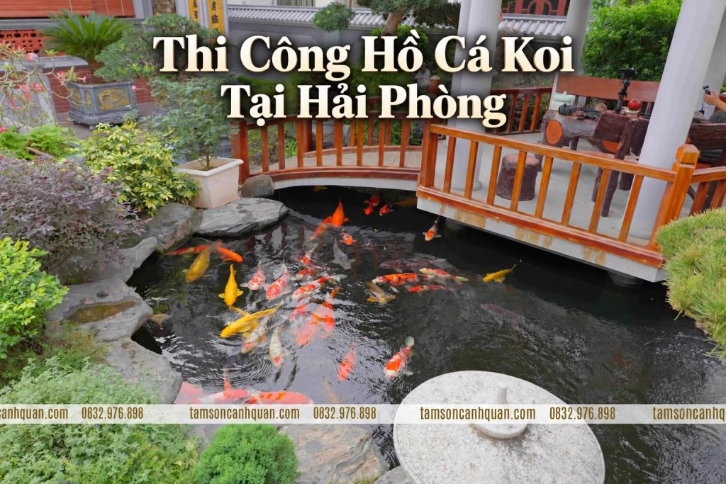 thi cong ho ca koi tai hai phong